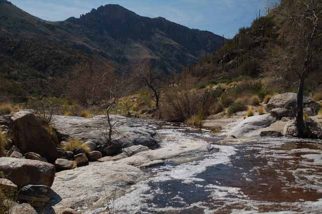 Sabino Creek